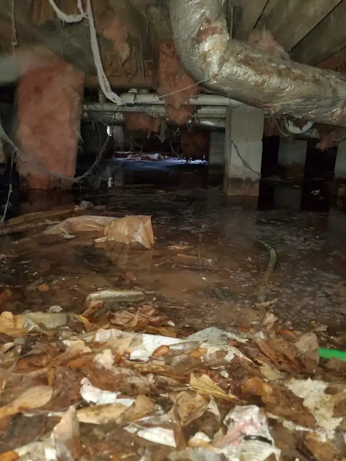 Crawl space flood assessment for Leak Detection & Repair in Winton