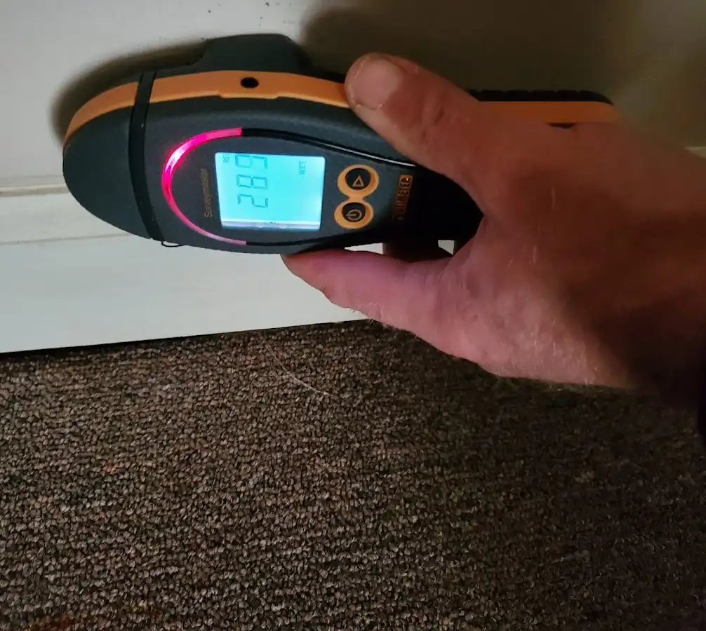 Moisture detection at baseboard during Mold Inspection & Testing in Winton